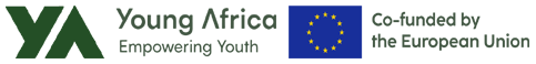 Young Africa - Empowering Youth